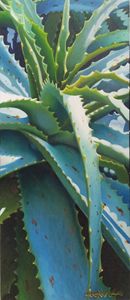 Aloevera- Savila - Robert C. Murray II