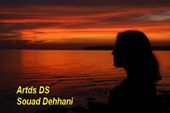 Artds DS Souad Dehhani