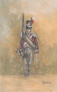 British Line Infantry 1815