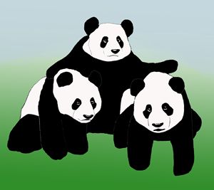 Panda Friends
