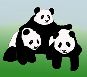 Nap - dessinateur777 - Drawings & Illustration, Animals, Birds, & Fish,  Bears, Panda - ArtPal