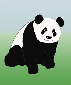 Buy Panda, Bears, Animals, Birds, & Fish, Drawings & Illustration at ArtPal