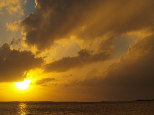 Yellow Sunset