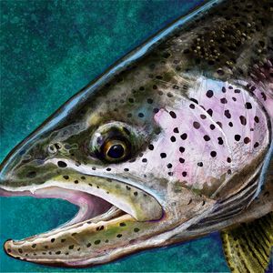 Art Print: Freshwater Fish : 32x24in