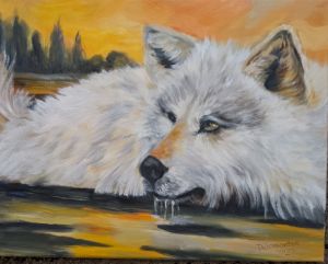 Orange Glow - krizzart