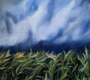 Cornfield in a windy afternoon. - krizzart