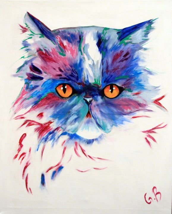 Bailey The cat - Gaelle Barret