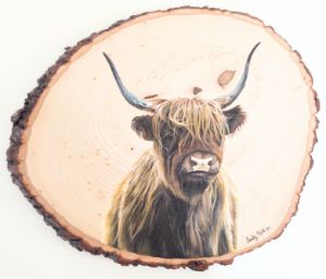 Highland Cow