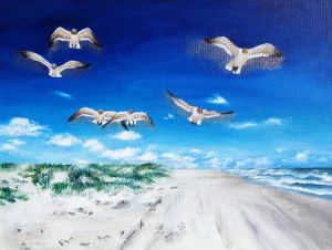 Seagulls At The Ocean