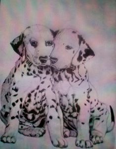 Black & White Dog Collection - CC World - Digital Art, Animals, Birds, &  Fish, Dogs & Puppies, Dalmatian - ArtPal