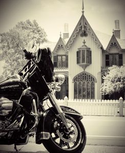 Harley At Roseland Cottage - NatureBabe Photos