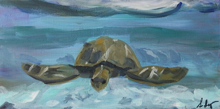 Sea Turtle - Stephen Haynes