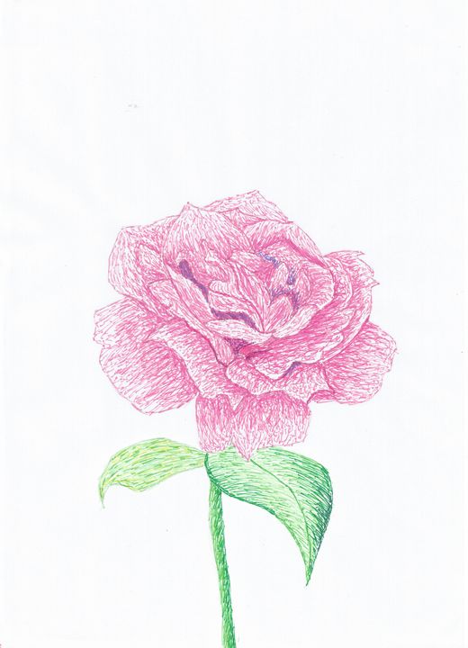 A Pen Drawing of Flowers · Creative Fabrica
