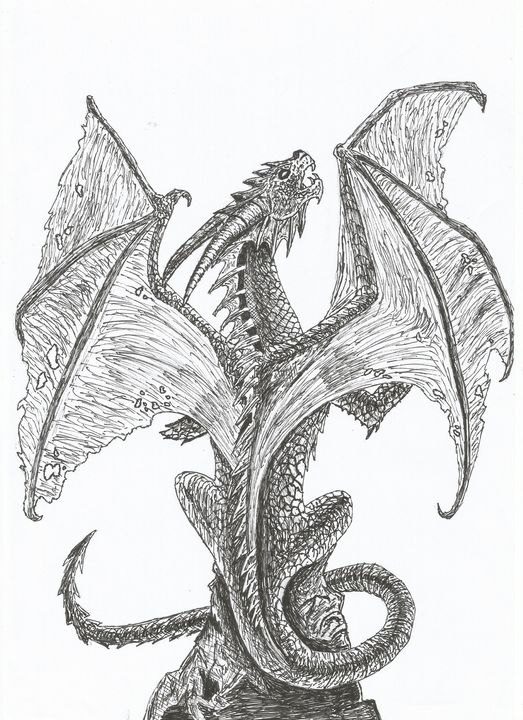 line drawings of dragons