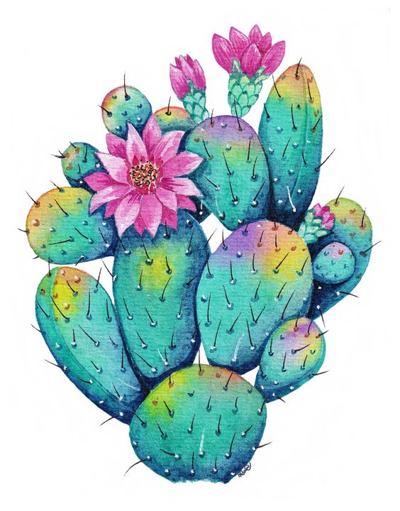 Rainbow Cactus With Flowers Art - Oirabot