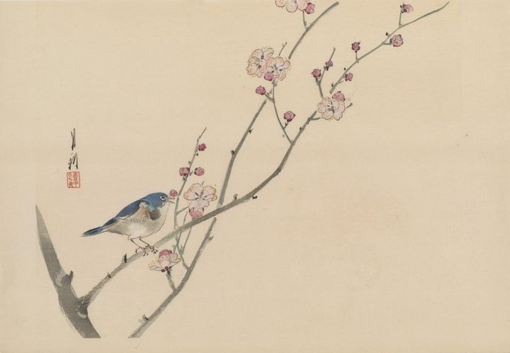 Ogata Gekkō~Bird On Branch - Old classic art - Paintings & Prints