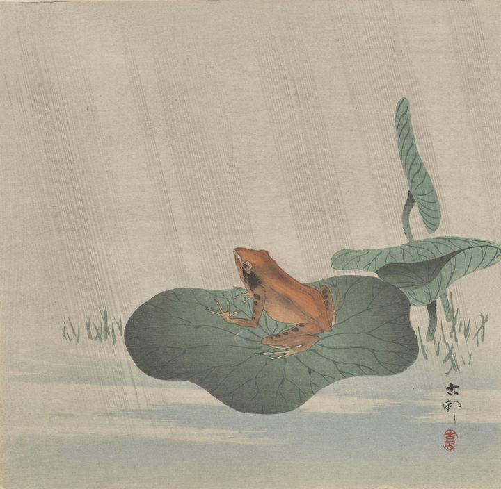 Ohara Koson~Frog on lotus leaf - Old classic art