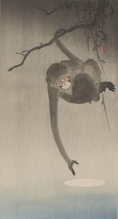 Ohara Koson~Gibbon reaching for refl - Old classic art - Paintings