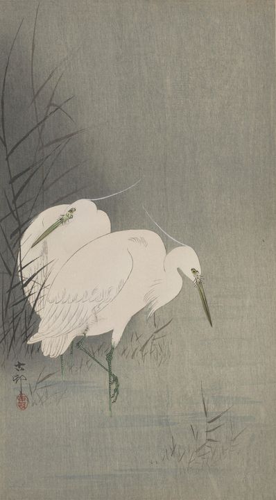 Ohara Koson~Little egrets at water's - Old classic art - Paintings ...