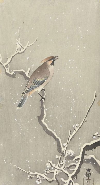 Ohara Koson~Pestvogel op besneeuwde - Old classic art - Paintings