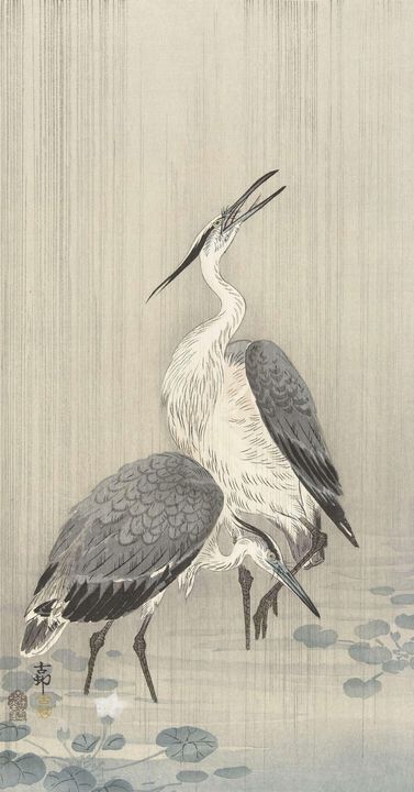 Ohara Koson~Twee reigers in de regen - Old classic art - Paintings &  Prints, Ethnic, Cultural, & Tribal, African American - ArtPal