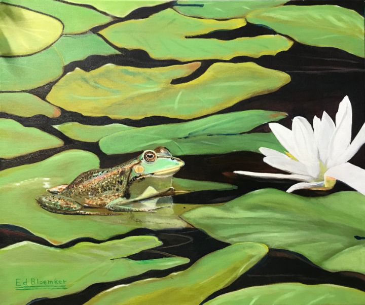 Fred the Frog - Ed Bloemker Art - Paintings & Prints, Animals, Birds ...