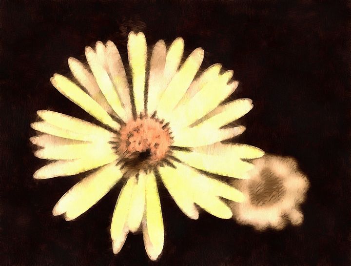 Flower - norisknimo