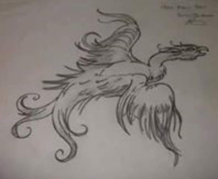 phoenix bird drawings in pencil