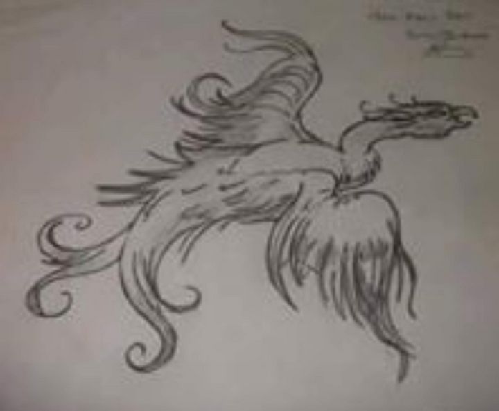 Pencil Drawing Of A Phoenix Jenksies Arts Drawings Illustration Animals Birds Fish Birds Phoenix Artpal