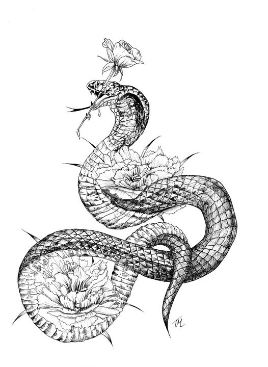 Cobra snake and the rose - bytriska