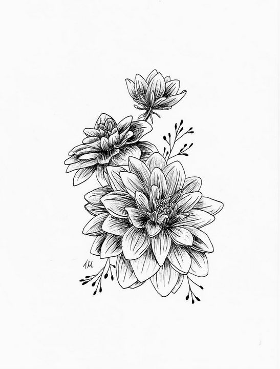 Dahlia flower - bytriska