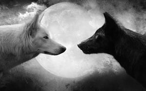 Peace Within Yin&Yang