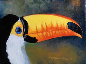 Toucan