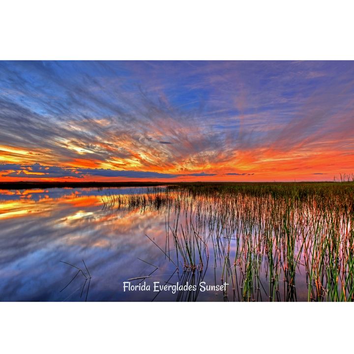 Florida Everglades - James D gatlin