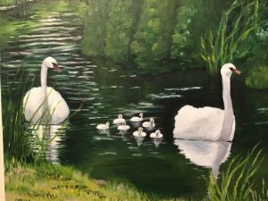 Swan parents watching over babies