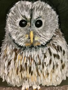 Owl sitting on limb original