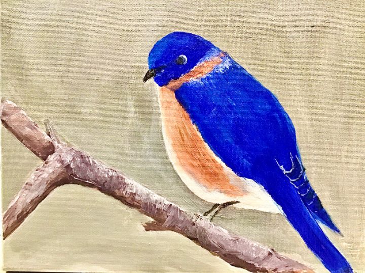 Bluebird sitting on limb - Camilla’s Paintings