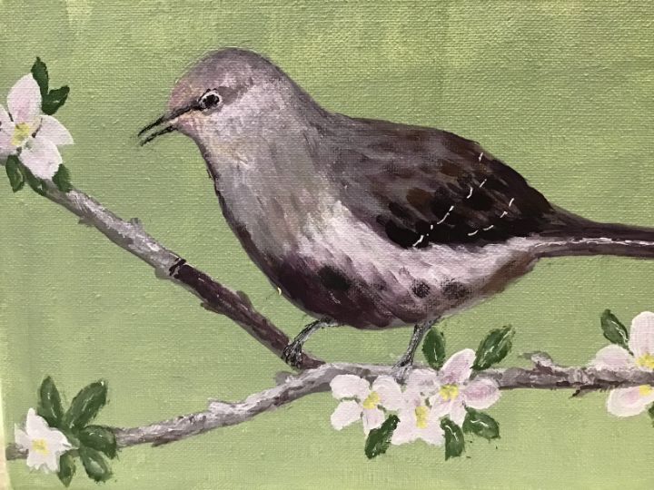 Mockingbird in spring - Camilla’s Paintings