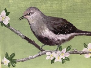 Mockingbird in spring