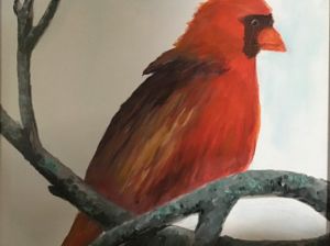 Red bird sitting on limb