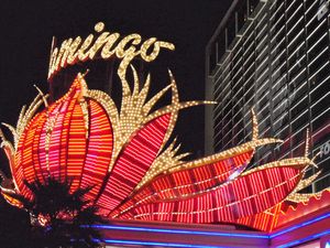 Flamingo Hotel Vegas