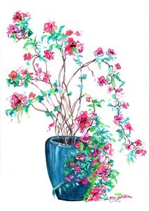 Watercolor, aquarelle, botanique