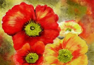 Morpheus's Abstract Red Poppies