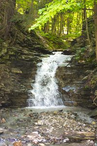 Letchworth Waterfall, NY