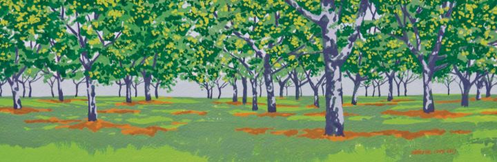 Walnut grove - Nicholas Rous