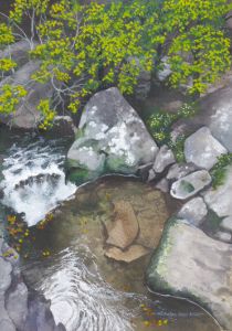 Mountain stream - Nicholas Rous