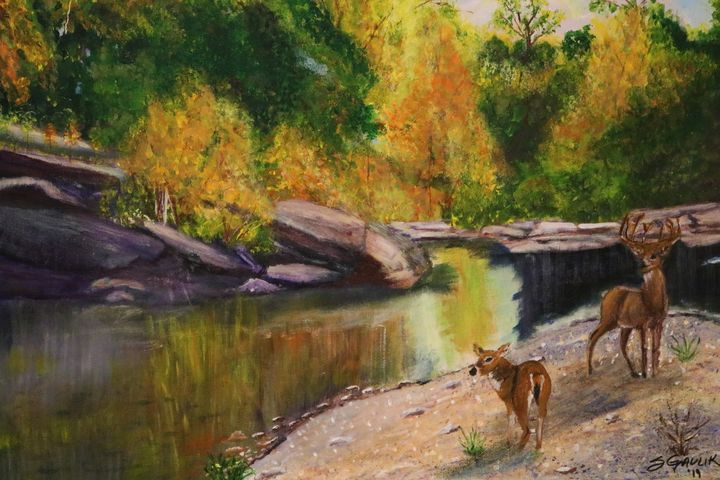 Deer roaming by a Texas creek - About Town Artistry