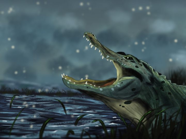 The Alligator - The ArtWorld