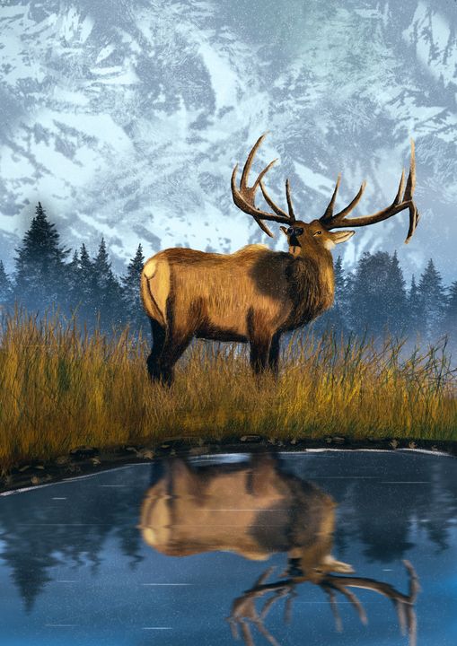 The Elk - The ArtWorld