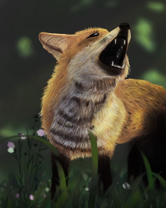 The Fox - The ArtWorld
